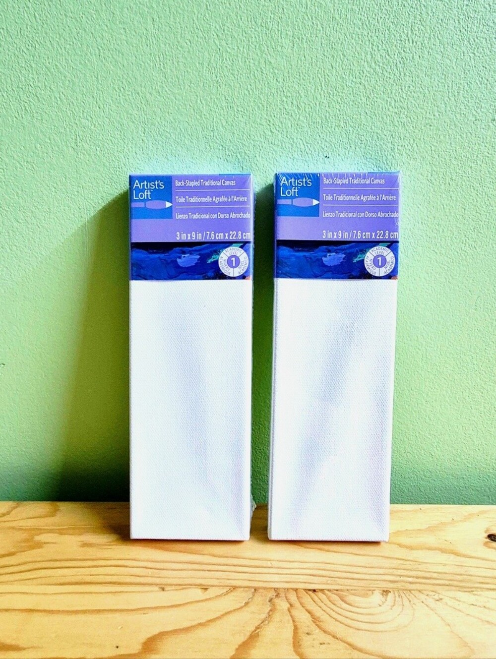 New Pack of 2 Artist's Loft Back-Stapled Traditional Canvases - 3" x 9"